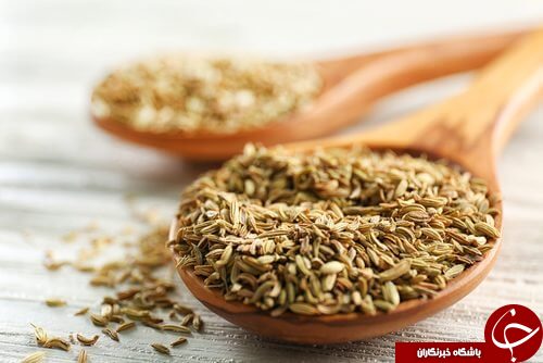 8 جایگزین خوش عطر و طعم برای نمک