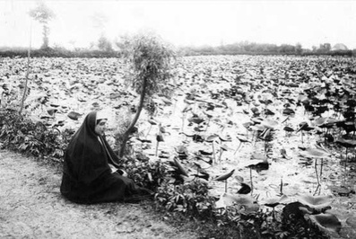  فخرالتاج (نوه ناصرالدین شاه) فرزند چهارم عصمت ‌الدوله بود که در سال ۱۲۹۶ به دنیا آمد. 