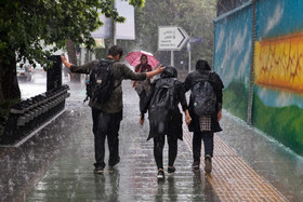 تصاویر / باران ، تهران را شست