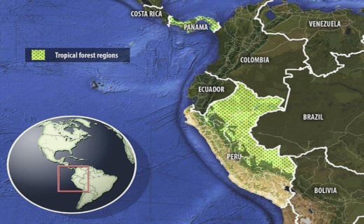 مراقب عنکبوت پرنده باشید+تصاویر