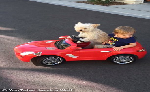 راننده شخصی پسر بچه چهار ساله+ تصاویر