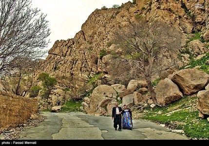عکس/ طبیعت و میراث بکر شهرستان ریجاب 