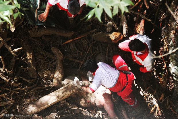 قربانی سیل دیروز / عکس 18+