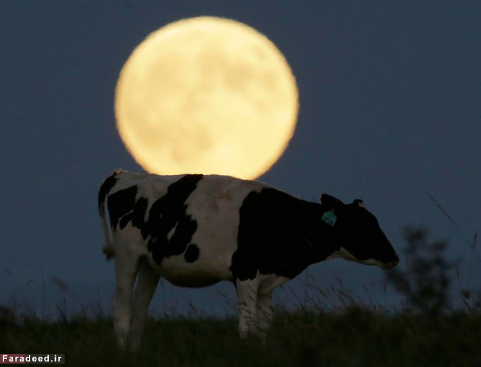 (تصاویر) ماه‌گرفتگی منحصر به فرد