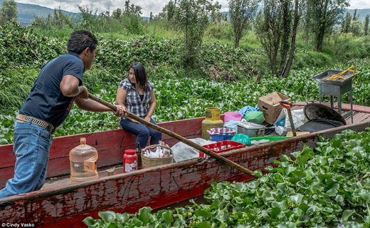 گورستان عروسک ها در مکزیک+ تصاویر