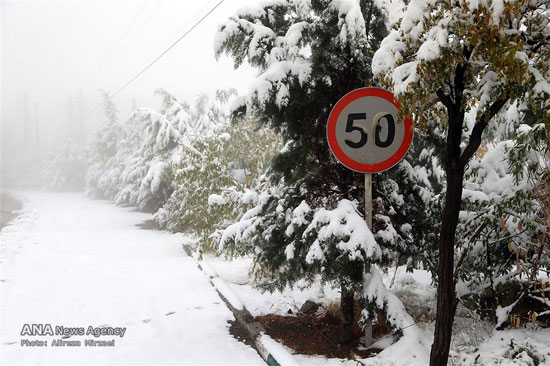 عکس: بارش برف در ارتفاعات تهران