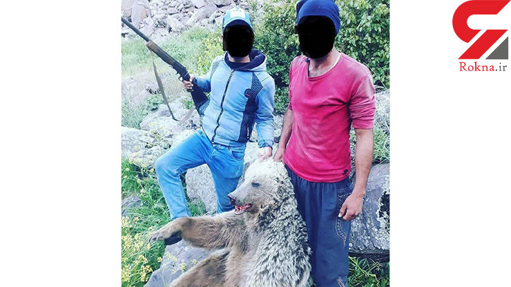 تصویری دردناک از کشتار وحشیانه خرس آذربایجان غربی / عوامل بازداشت هستند