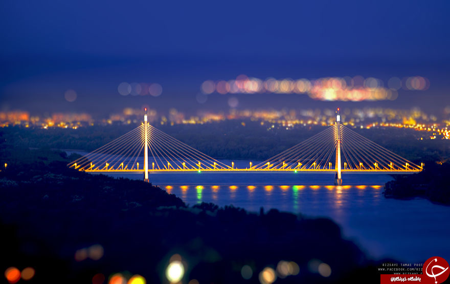 عکاسی که برای ثبت این تصاویر جانش را به خطر انداخت + تصاویر