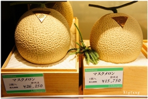 این خربزه در ژاپن بیش از 10 هزار ین یعنی 100 دلار به فروش می‌رسد