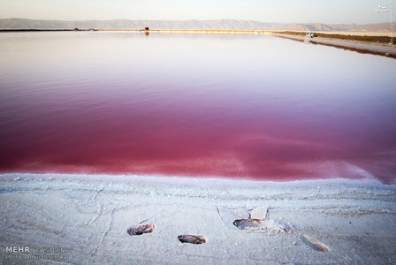 اندک آب باقیمانده دریاچه در حوضچه کوچکی جمع شده است تا محل تبخیر آب و استخراج نمک باشد.br / 