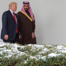 محمد بن سلمان، ولیعهد و وزیر دفاع در کاخ سفید