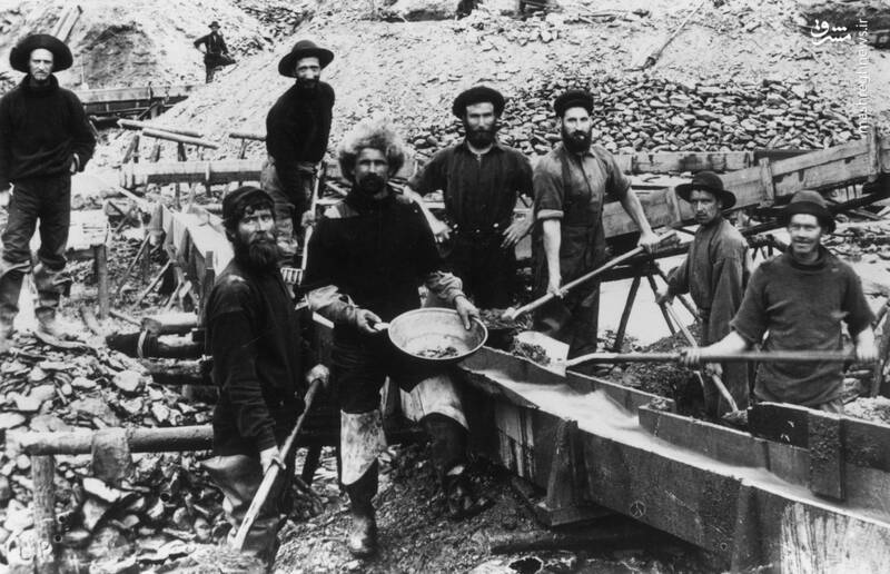 عرق جبین یا زنان کانادایی؛ ثروت دونالد ترامپ از کجا آمده است؟ +عکس و فیلم