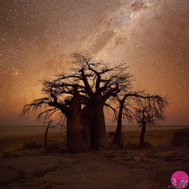 جزیره کوبو،بوتساوانا