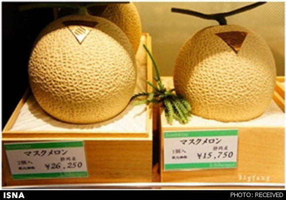 گران‌ترین میوه‌های دنیا در ژاپن + تصاویر