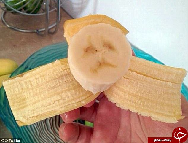 میوه‌های عجیب الخلقه در سراسر جهان+ تصاویر