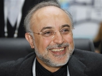 علی اکبر صالحی در به سرانجام رسیدن پرونده مذاکرات هسته ای نیز تلاش بسیاری کرد. مخالفان دولت و برجام وی را تهدید کردند در راکتور اراک با سیمان دفن می کنند.