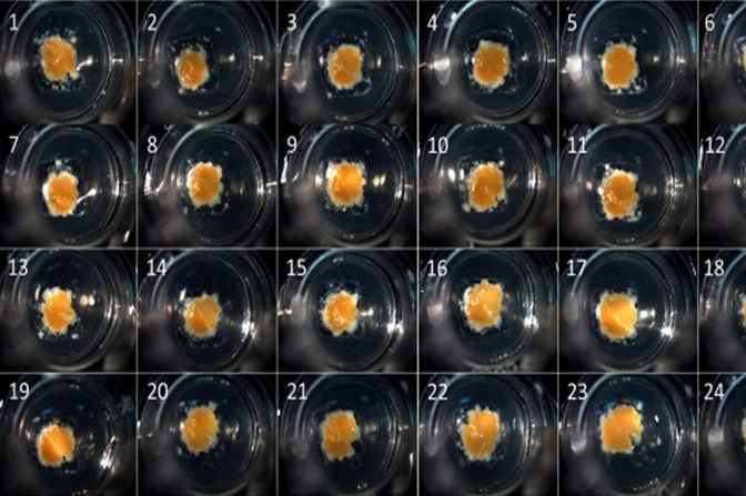 استفاده از فناوری چاپ سه بعدی برای تولید کبد