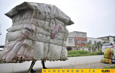 خانه فقیرانه یک فرد مهاجر که از گونی و چوب و طناب ساخته شده است.