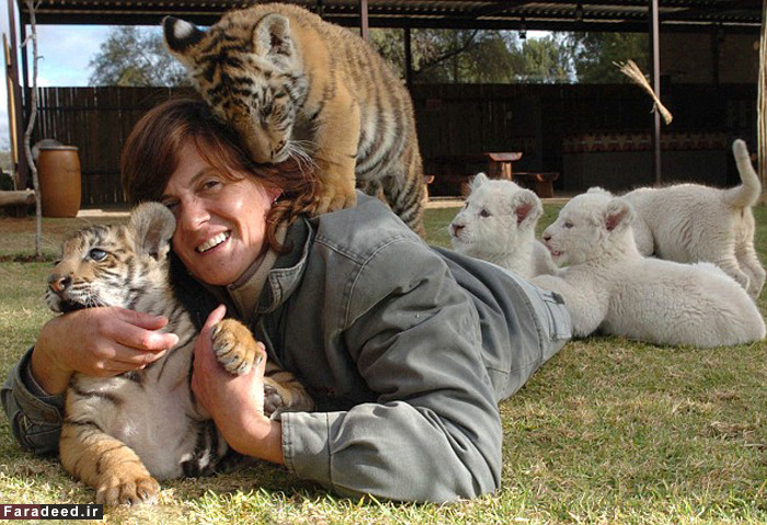 (تصاویر) رهایی زن از سرطان با عشق به یوزپلنگ