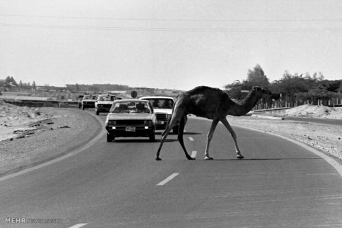 درس های بزرگ امارات