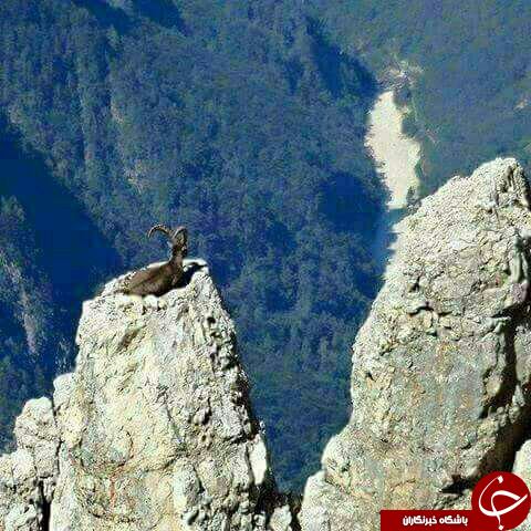 چهار فصل ایران را باید دید +تصاویر