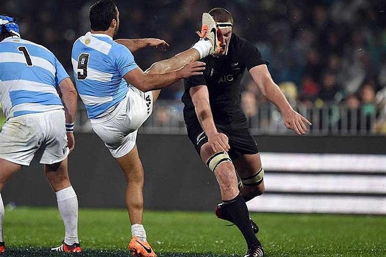 ضربه نهایی!/عکس