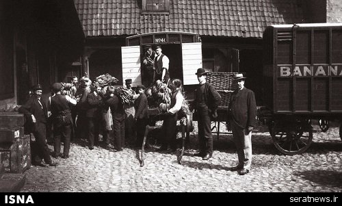 عکس / روزی که موز وارد نروژ شد!