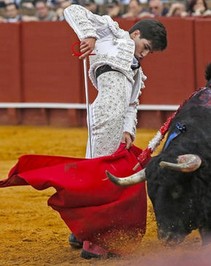  گاو بازی در سویل اسپانیا 