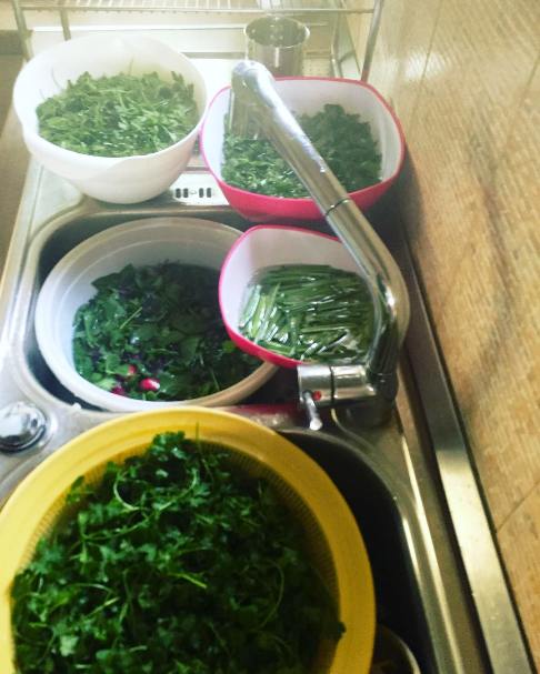 عکس منتشر شده توسط کمند امیرسلیمانی