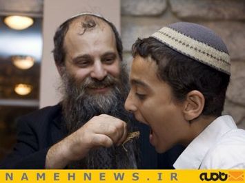 یک لقمه ملخ!