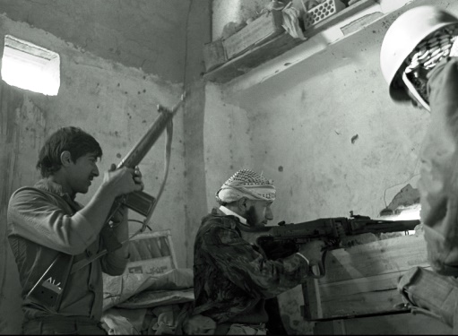 عکس‌های مجید دوخته چی زاده