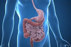 یک نسخه ضد سرطان برای همه!