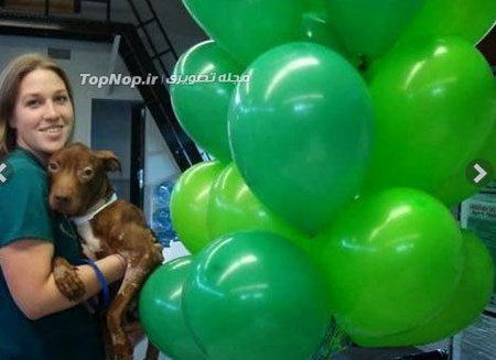 نجات از مرگ حتمی