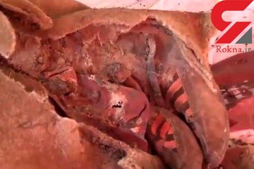 کشف مومیایی 1500 ساله که کفش آدیداس به پا داشت+عکس