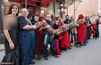 رکوردار بلندترین مار پیوتن دیده شده در 