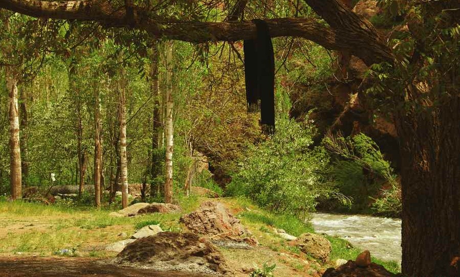 الیمستان، جنگلی رویایی در مازندران (+عکس)