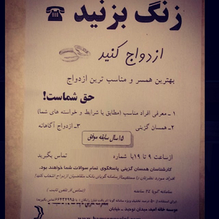 زنگ بزنید ، ازدواج کنید! /عکس