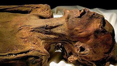 کشف شده در بیابان های مصر