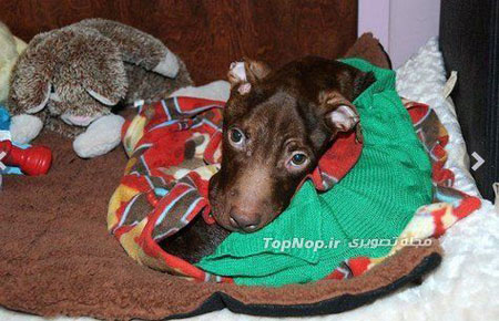 نجات از مرگ حتمی