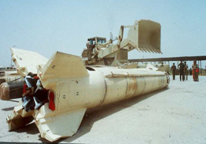 موشگ فراگ؛ قورباغه کوچک روس که کارهای بزرگ انجام می‌دهد.