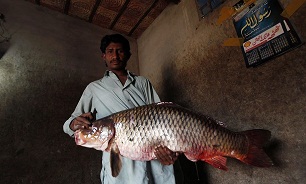 ماهیگیری جالب روی کوزه‌ها در پاکستان! + عکس