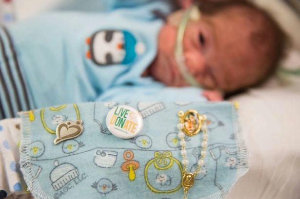 تولدی از جنس معجزه