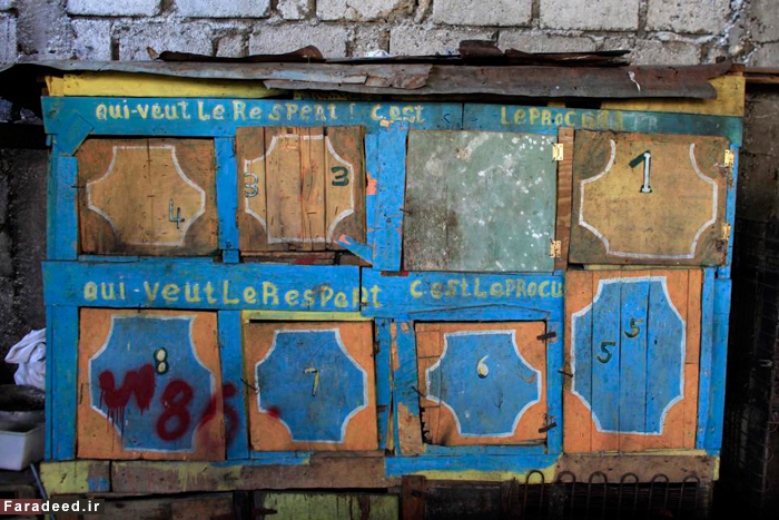 (تصاویر) سنت جنگ خروس‌های جنگی