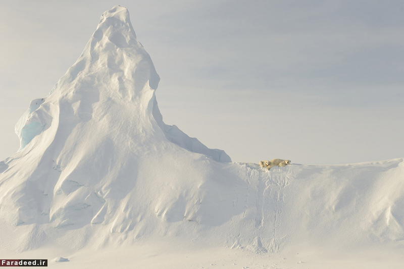 (تصاویر) مسابقه عکاسی نشنال جئوگرافیک