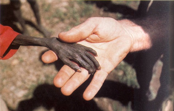 نظرتان در مورد 