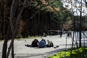 پایگاه تحلیلی خبری نامه نیوز