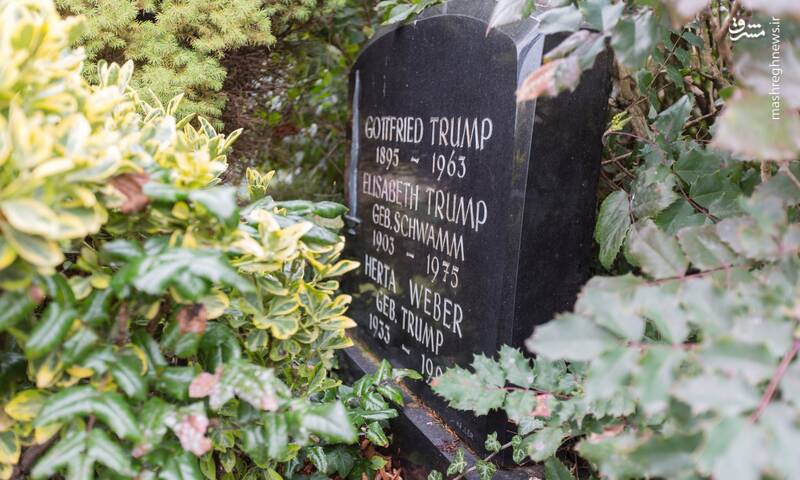 عرق جبین یا زنان کانادایی؛ ثروت دونالد ترامپ از کجا آمده است؟ +عکس و فیلم