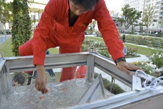 باجه ماهی قرمز!