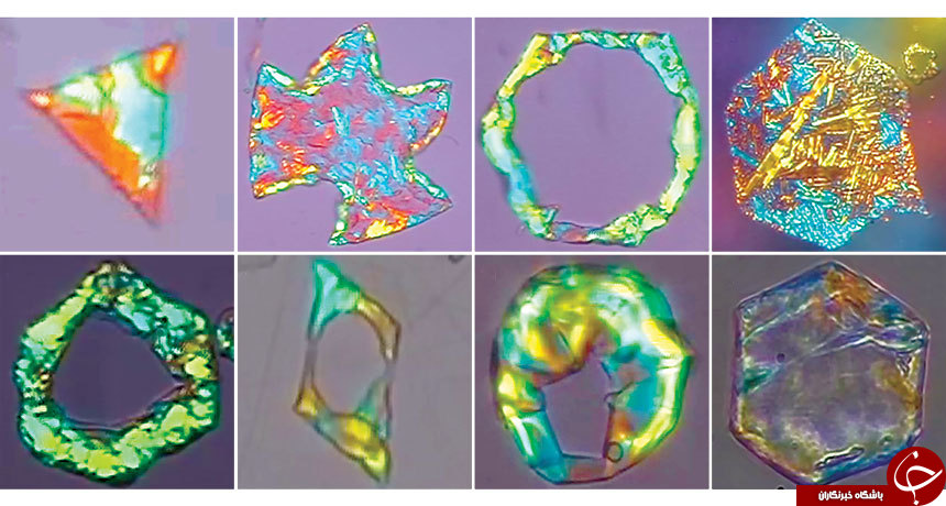 راز قطرات روغن زیر میکروسکوپ + تصاویر