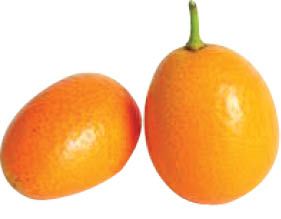 Û³ Ù…ÛŒÙˆÙ‡ Ø¢Ø³ÛŒØ§ÛŒÛŒ Ú©Ù‡ Ù†Ù…ÛŒâ€ŒØ´Ù†Ø§Ø³ÛŒØ¯